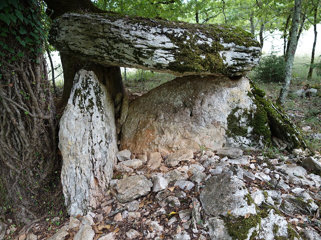 6 Dolmens de Saint-Chels